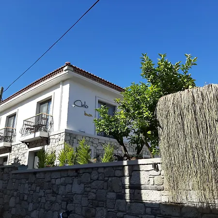 Hotel Cielo Limon