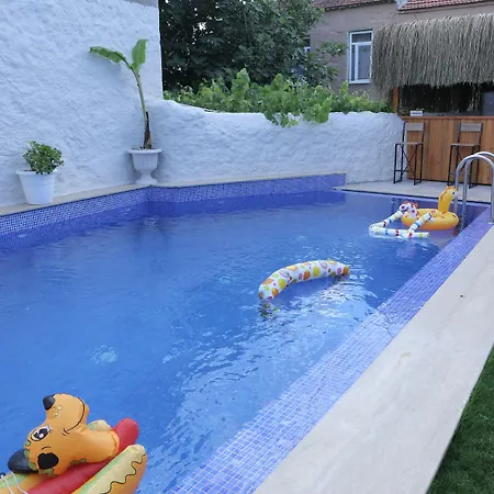 Cielo Limon 阿拉恰特