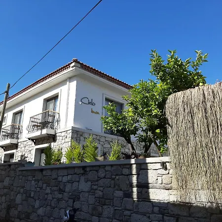 Cielo Limon * 阿拉恰特